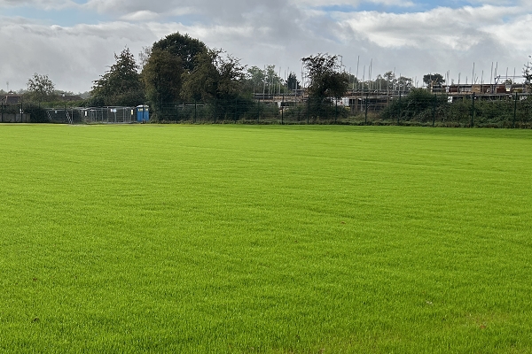 Codicote Primary School Sports Pitch Construction