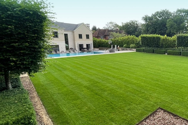 Residential Lawn Renovation